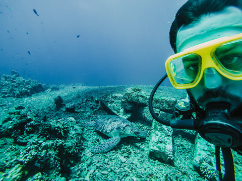 .Young tourist diving in the Gili island, Indonesia, many meters deep, discovering the wild life of the seabed near to a big tourtle. Lifestyle and travel concept.