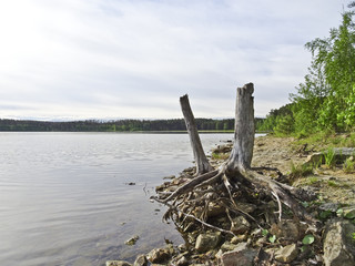 Fototapeta premium Summer landscape: forest lake in cloudy weather