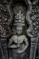 CAMBODIA SIEM REAP ANGKOR TA PROHM TEMPLE