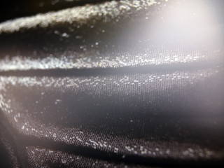 butterfly wings at higher magnification