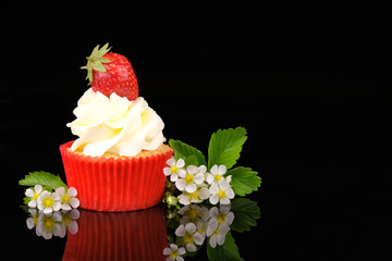 Red cupcake with white cream decorated with blossom strawberry, flowers and leaves on black mirror background. Picture for a menu or a confectionery catalog.