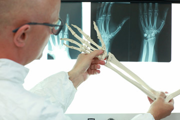 professional with upper limb model browsing hand bones