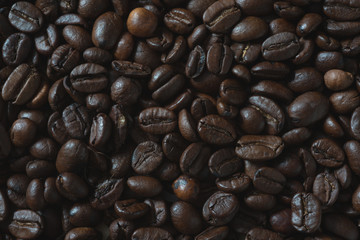 fresh coffee beans