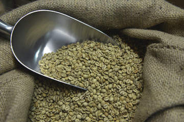 fresh coffee beans