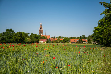 W&ouml;rlitz behind cornfield with poppies