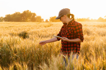 A woman farmer examines the field of cereals and sends data to the cloud from the tablet. Smart...