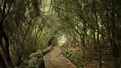 Parque Rupestre de la Zarza y la Zarzita, La Palma, Islas Canarias, España