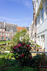 Fototapeta na wymiar Begijnhof, beautiful secret spot in amsterdam