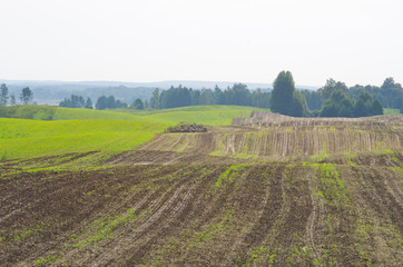 Fototapeta na wymiar Plowed field during the spring