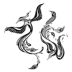 Obraz premium Beautiful peacock. Exotic bird. Vector hand drawn detailed illustration