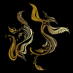 Beautiful peacock. Exotic bird. Vector hand drawn detailed illustration