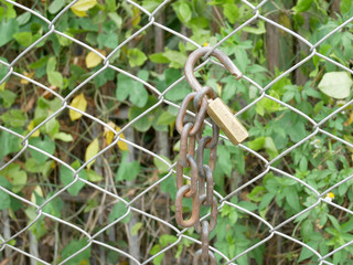 Padlocked steel grille