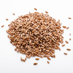 spelt seeds on a white acrylic background