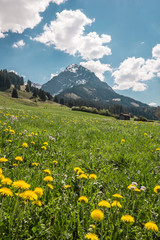 Fototapeta na wymiar Bergkulisse in den Alpen mit Hütte