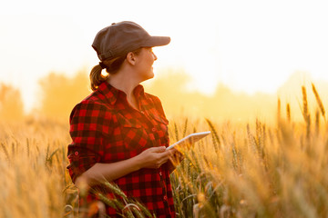 A woman farmer with tablet. Smart farming and digital agriculture.