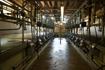Automated milking line