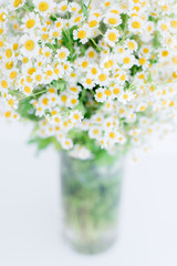 Big bouquet of chamomiles in glass vase on white background