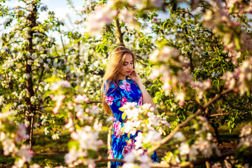 girl - spring in the garden of apple trees in a dress with long hair and brown eyes through the branches