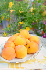 Frische Aprikosen in einer Schale stehen auf einem Tisch im Garten