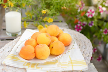 Frische Aprikosen in einer Schale stehen auf einem Tisch im Garten
