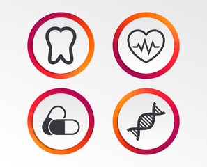 Maternity icons. Pills, tooth, DNA and heart cardiogram signs. Heartbeat symbol. Deoxyribonucleic acid. Dental care. Infographic design buttons. Circle templates. Vector