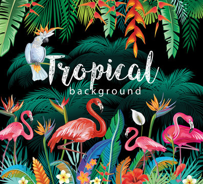 Tropical Flowers Leaves Flamingoes and Parrots