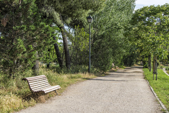 paseo con banco de madera.
banco de madera junto a un camino de tierra con arboles en un parque en Madrid. Espa&ntilde;a

