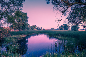 Lever de soleil violet magique sur le lac. Matin brumeux, paysage rural, désert