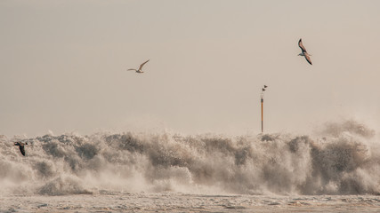 brave waves over the rocks in a port