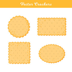 Vector Illustration. Set of health crackers. Isolated cookie