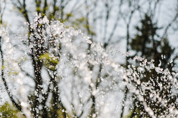 Flow of water fountain. Water splash in a fountain, abstract image.