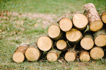 A pile of cut tree trunks giving a nice view of the concentric year rings.Pile of wood logs storage
