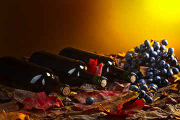 Obraz na płótnie Canvas Red wine and grapes .