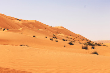 Wahiba Sands Desert at Muscat Oman