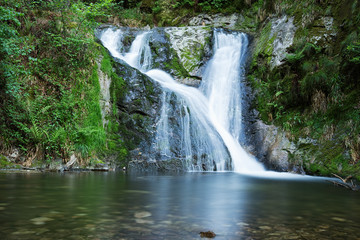 Fototapeta na wymiar Waterfall Allerheiligen, Black Forest, Germany