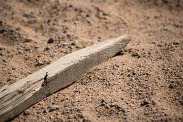 A piece of plank on the sand, a shipwreck concept