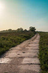 Rural countryside landscape with road, greenery and sunset.