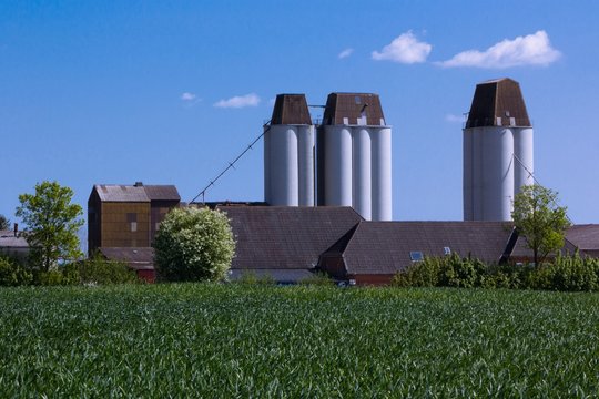 Getreidesilos mit Bauernhof in Schleswig-Holstein im Sommer bei blauem Himmel