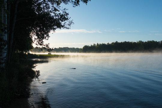 See in Schweden mit Morgennebel im Sommer bei blauem Himmel mit Baumsilhouetten