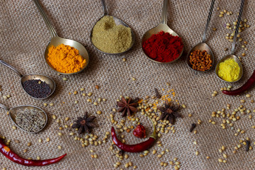 Obraz na płótnie Canvas Indian spices selection over dark wooden table. Food or spicy cooking concept, Healthy eating Background.