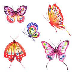 beautiful color butterflies, set, watercolor,  isolated  on a white