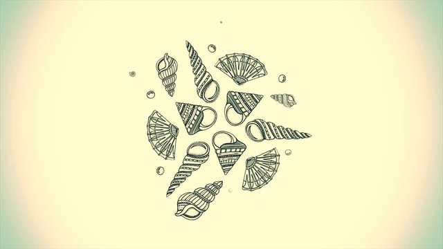 Background pattern created by sea shells and starfish. Background of Seashell collection isolated on white background. Top view