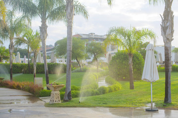 automatic lawn watering