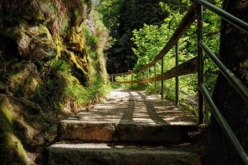 Scenic countryside landscape in the Black Forest: hiking through green forest with amazing views in spring near Allerheiligen, Germany