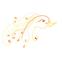 beautiful magical bird painted with elegant colorful lines