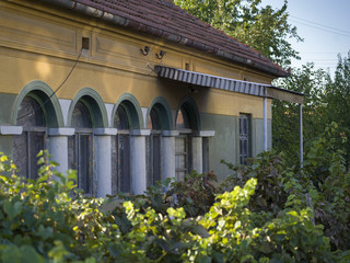 Shrubs outside a house, Kladovo, Bor District, Serbia