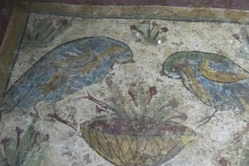 Fototapeta na wymiar Painting of birds on wall at Archaeological Site, Viminacium, Selo Kostolac, Kostolac, Serbia