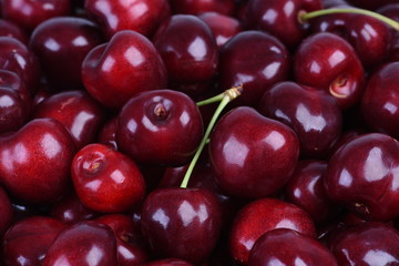 Sweet cherry fruit closeup