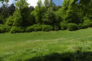 Scenic countryside landscape in the Black Forest: hiking through green forest with amazing views in spring near Allerheiligen, Germany
