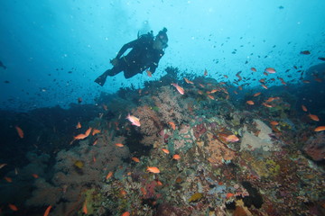 Fototapeta na wymiar Female Scuba Diver and Colorful reef fish blue ocean and bright coral underwater